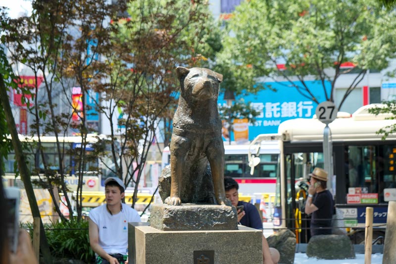 Cosa vedere a Tokyo in 4 Giorni