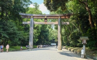 Il Meiji Jingu di Tokyo: Storia, Architettura e Bellezza Naturale