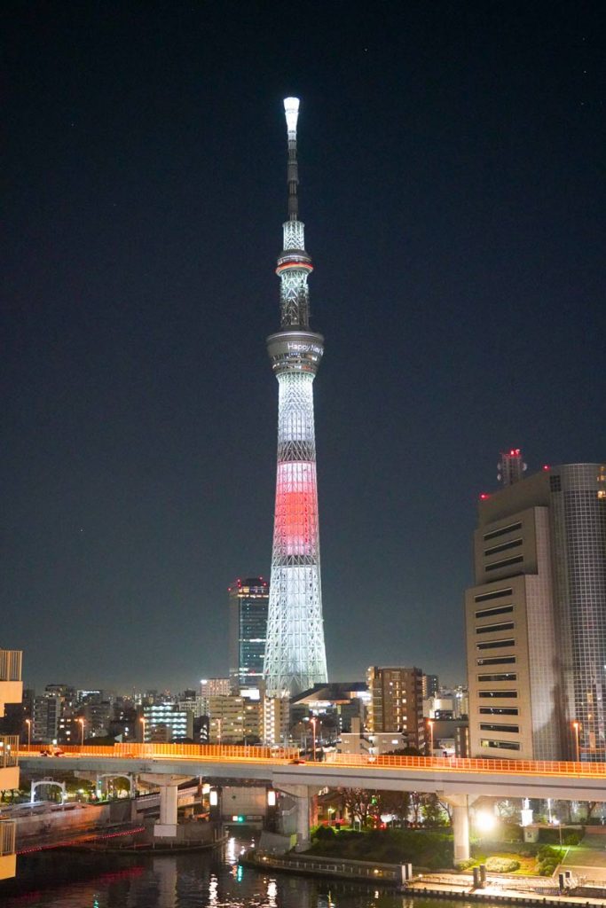La Tokyo SkyTree la torre televisiva più alta del mondo.