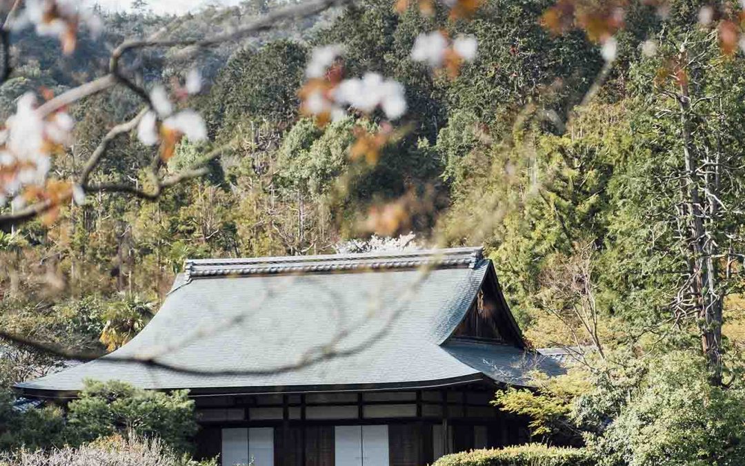 Case tradizionali giapponesi