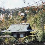 Case tradizionali giapponesi