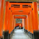 Fushimi Inari Taisha - Torii