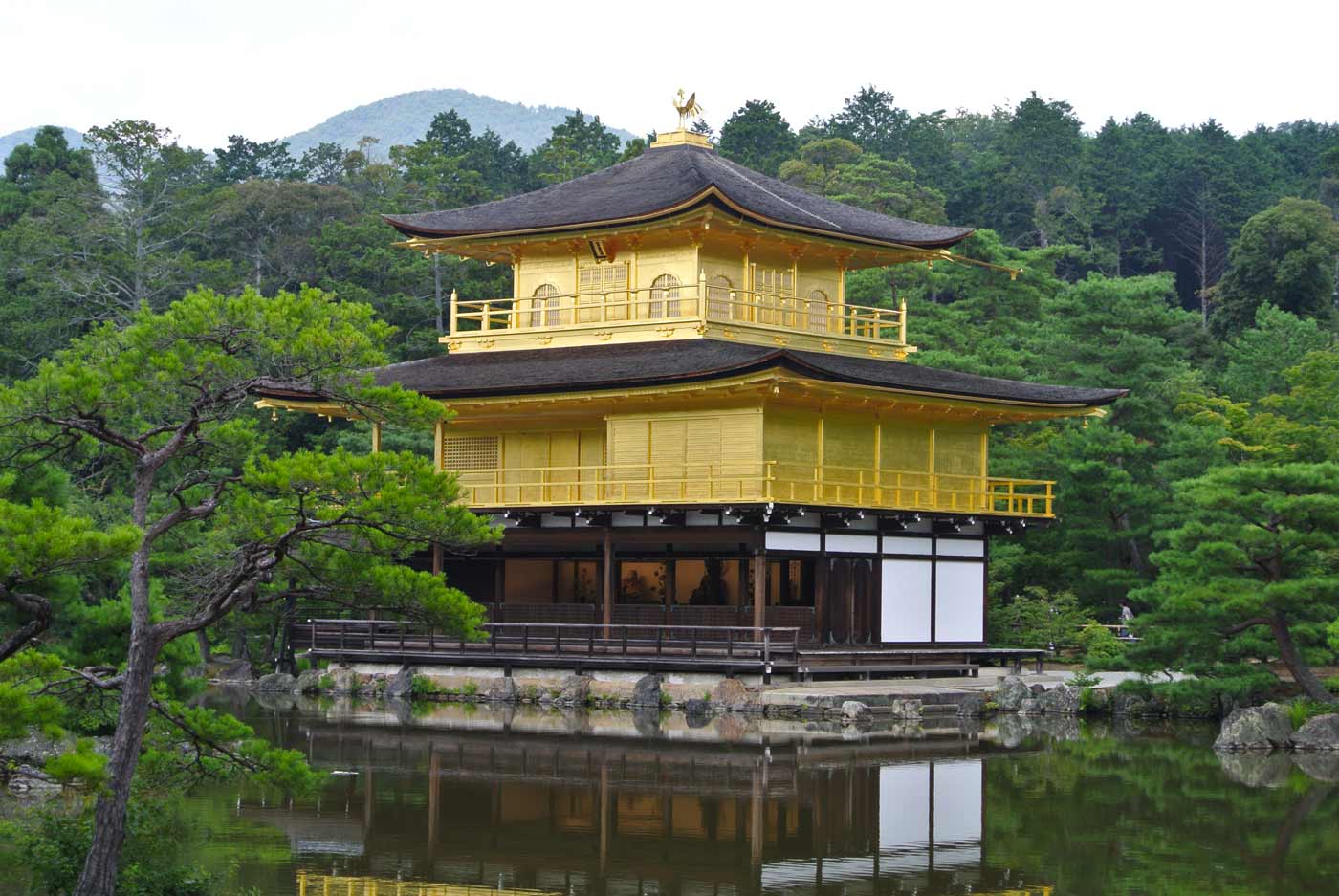 Il tempio di Kinkakuji di Kyoto  e il suo padiglione d oro