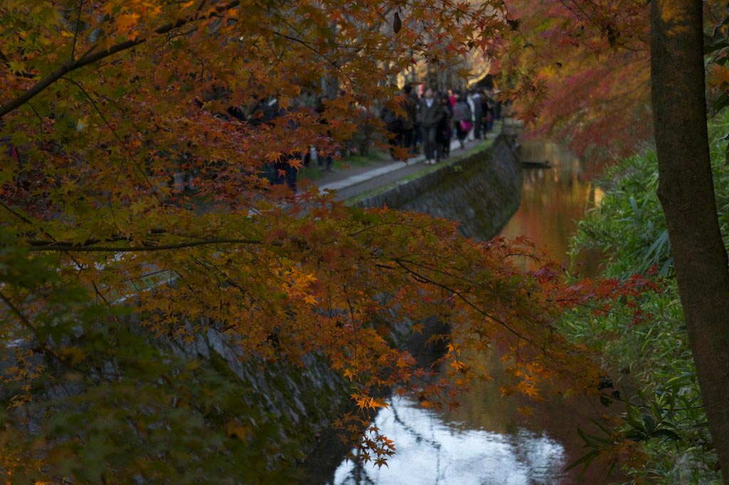 Sentiero del Filosofo a Kyoto