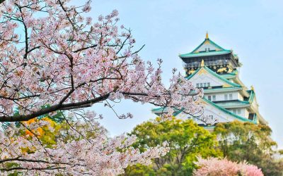 Shunbun No Hi: l’equinozio di primavera in Giappone