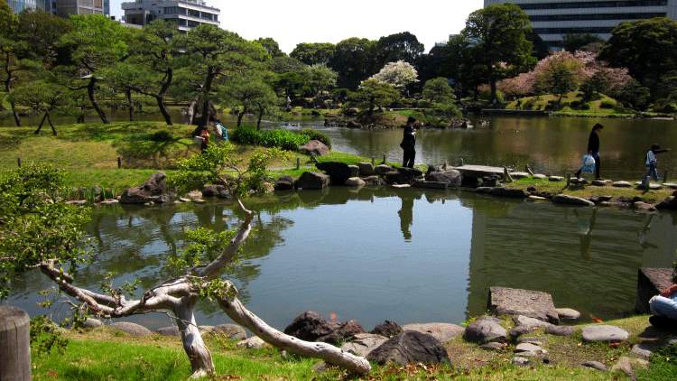 Kyu-Shiba-Rikyu- Giardini di Tokyo Edo